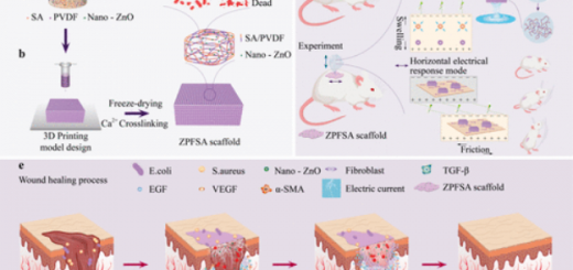 Lanzhou_ZnO_1