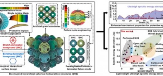 Article_Jiaoda_Bio_1