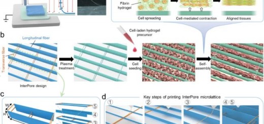article_fibrin_1