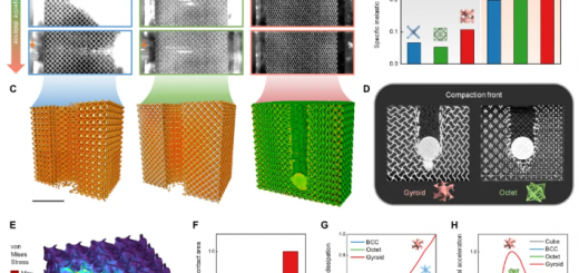 article_multiscale_3