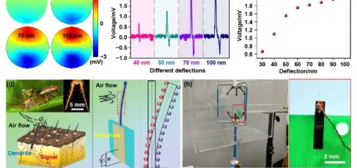 paper_nano_5